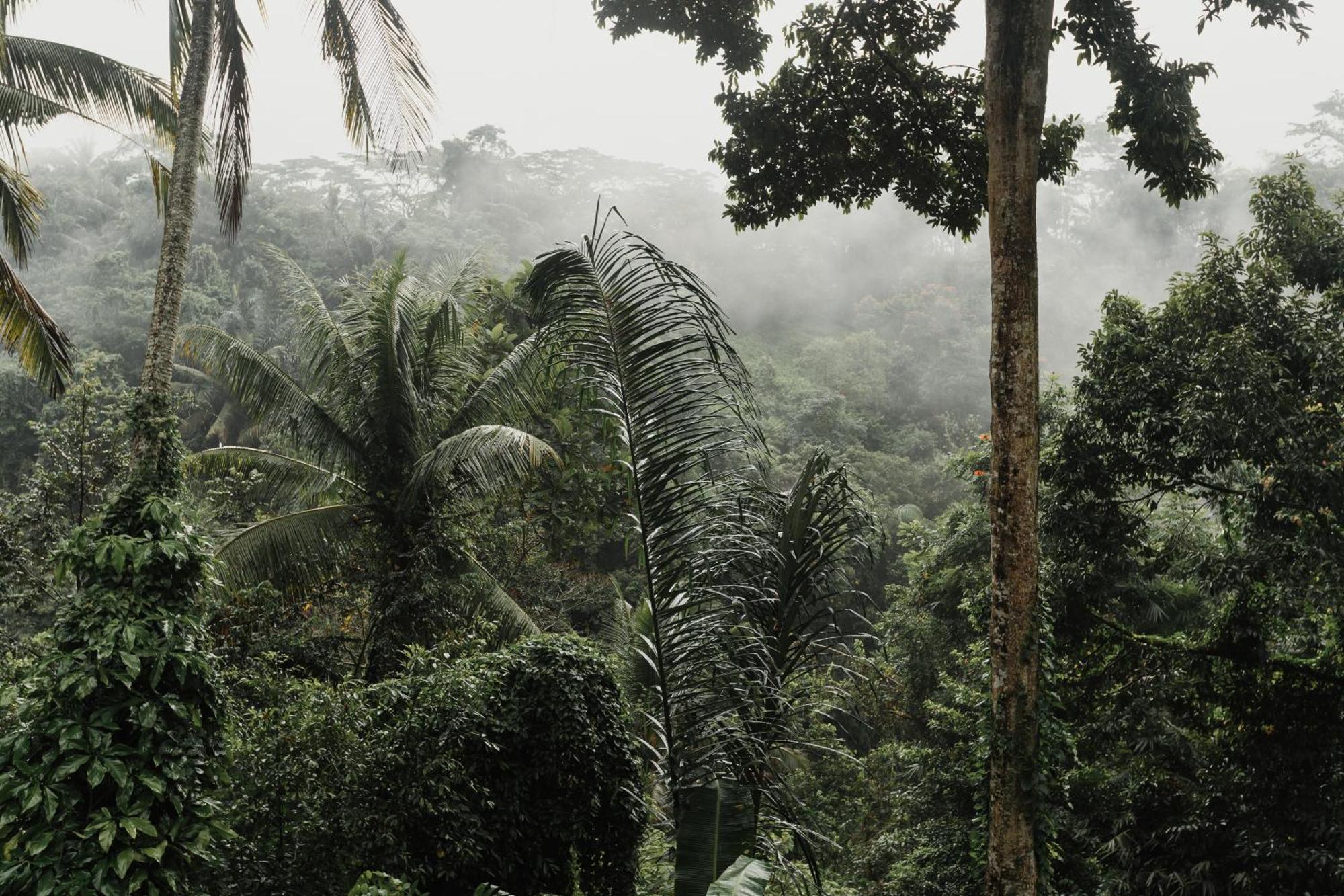 The Iyang Ubud Экстерьер фото